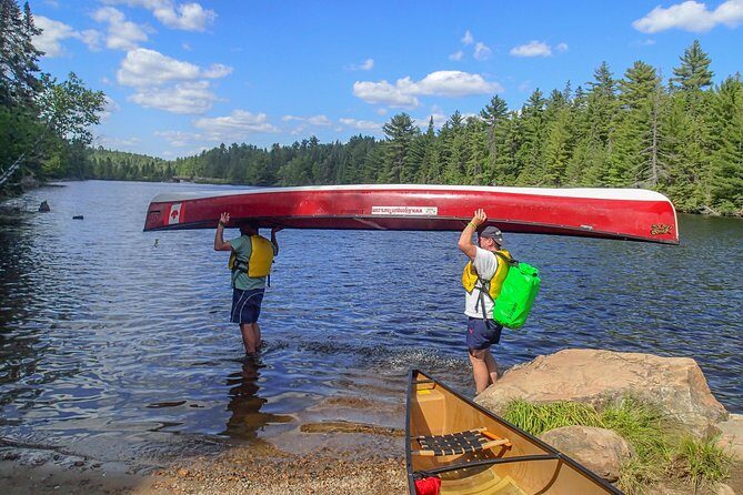 6 Hour Algonquin Park Canoe Trip - Pacing, group size, and who this trip fits best