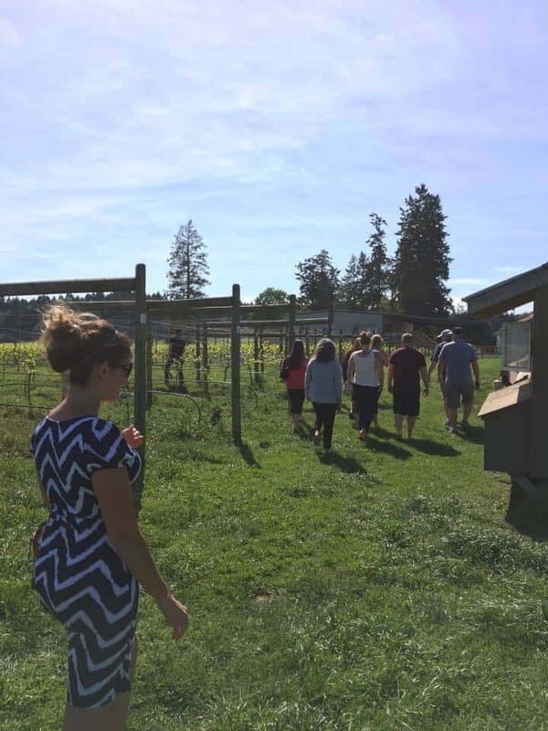 6-Hour Victoria to Cowichan Wine Tour - Key things I’d bank on