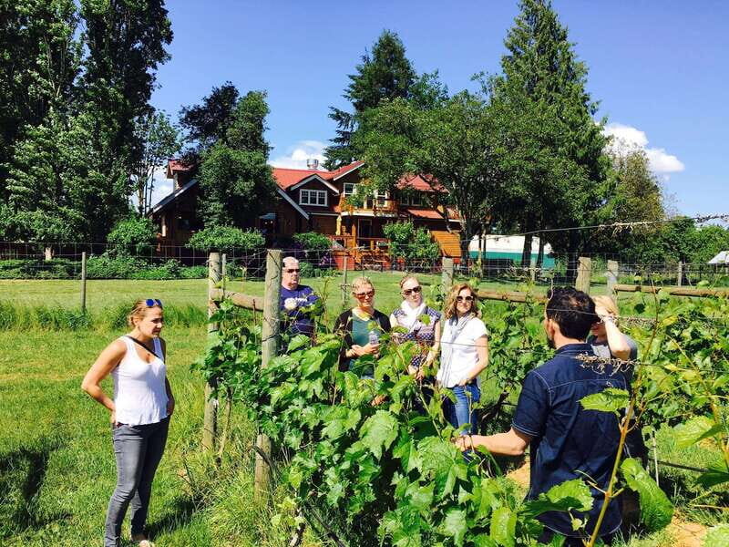 6-Hour Victoria to Cowichan Wine Tour - From the Empress to the Cowichan Valley: getting there is part of the treat
