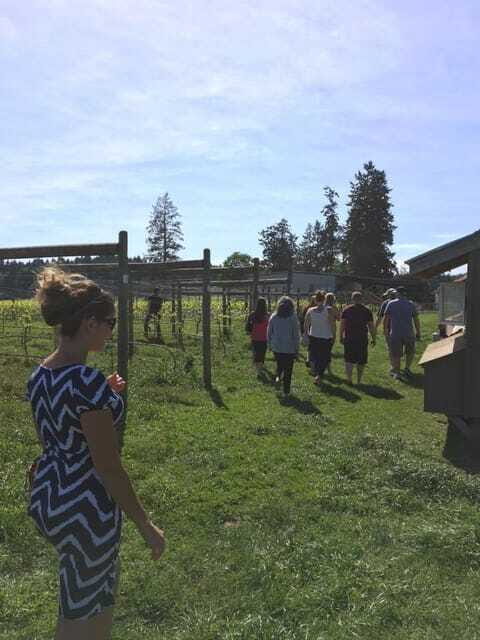 6-Hour Victoria to Cowichan Wine Tour - Unsworth at 1:45 PM: behind-the-scenes wine touring with a real choice