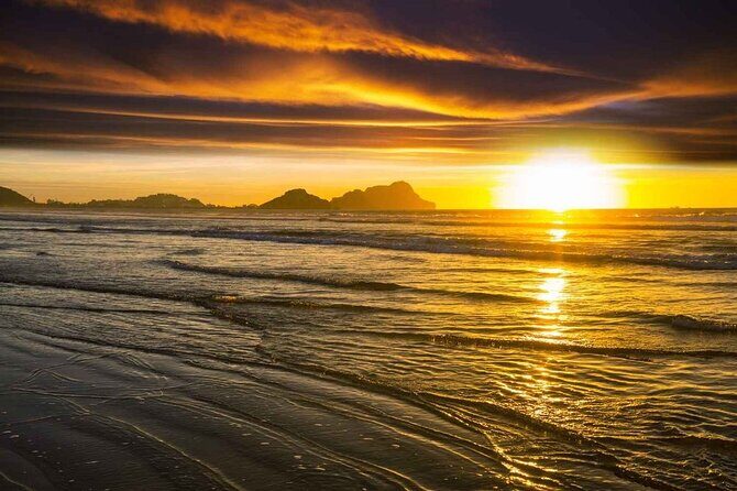 7 Day Guided Small Group Tour On Vancouver Island’s West Coast - Key things to know before you go