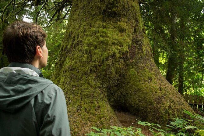 7 Day Guided Small Group Tour On Vancouver Island’s West Coast - From Victoria to Tofino: Why This Drive-First Day Matters