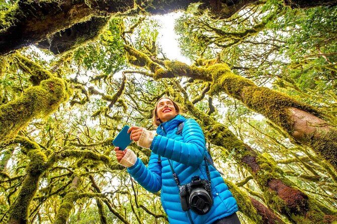 7 Day Guided Small Group Tour On Vancouver Island’s West Coast - East Sooke Coastal Trail: The 5-Hour Walk That Gives You Big Returns