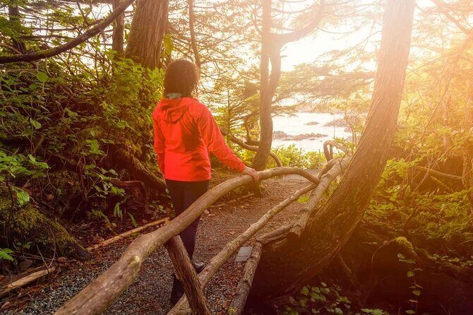 7 Day Guided Small Group Tour On Vancouver Island’s West Coast - Price and What You’re Really Paying For (Including the Hidden Costs)