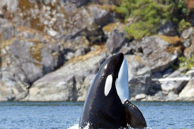 7 Hour Big Animal Encounter - Key things to know before you go