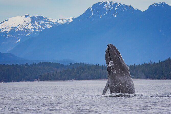 7 Hour Big Animal Encounter - Price and logistics: what $265.17 really buys