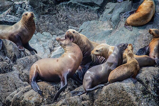 7 Hour Big Animal Encounter - The 7-hour rhythm: what your day actually feels like