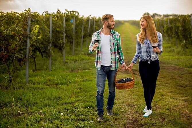 8 Hour Ontario Wine Tour with Cheese and Charcuterie - How this private route saves your day (not just your time)