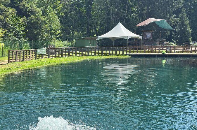 A Relaxing Day of Fishing and Fresh BBQ - More Than Fishing: Yard Games and Mini Boat Rides