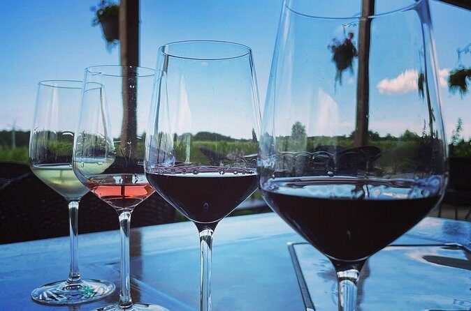 A Twilight Wine Adventure with 3-Course Dinner - Stop 3: Bella Terra Vineyards, Patio Pouring, and Fun Pairing Ideas