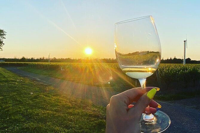 A Twilight Wine Adventure with 3-Course Dinner - Price and What You Get for $220.80