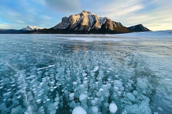 Abraham Ice Bubble/Sunwapta Falls,Snowshoeing,Icefield, Bow&Peyto - Bow Lake: the turquoise you can’t fake