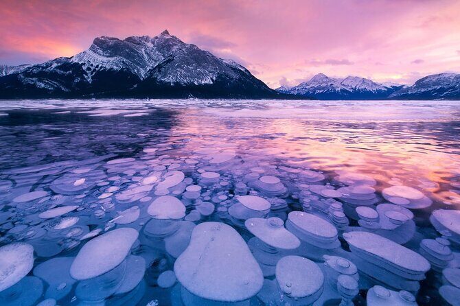 Abraham IceBubble, Peyto, Bow Lake with Snowshoeing& Icewalk - Quick hits before you go