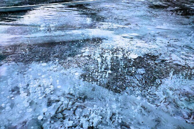 Abraham IceBubble, Peyto, Bow Lake with Snowshoeing& Icewalk - Abraham Lake Ice Bubbles: the main event, explained