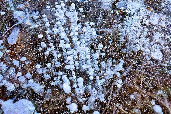 Abraham IceBubble, Peyto, Bow Lake with Snowshoeing& Icewalk - Peyto Lake and the heart-shaped viewpoint