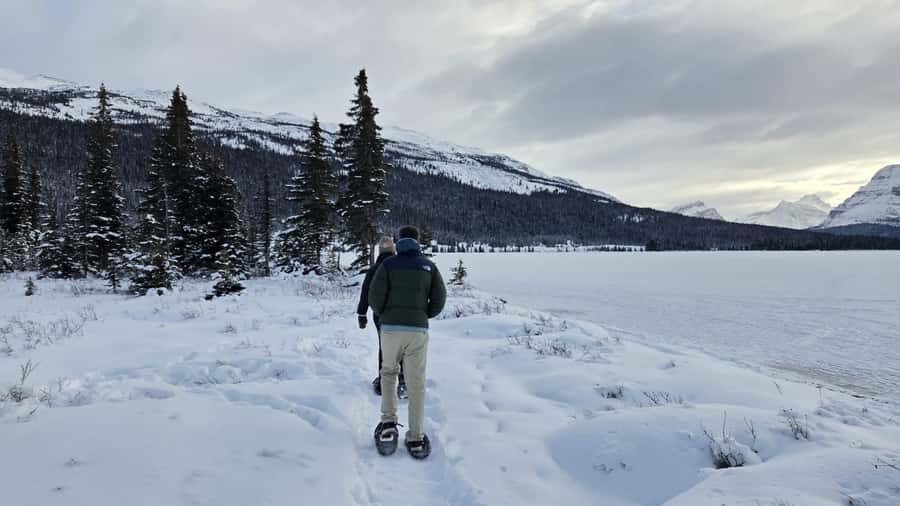 Abraham IceBubble/Sunwapta Falls, Snowshoeing Bow & Peyto - Abraham Lake Ice Bubbles: the winter reason to take this tour