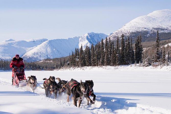 Active Winter Adventure in Yukon | 5 days - The 30-minute sightseeing flight over the Yukon: short time, huge payoff