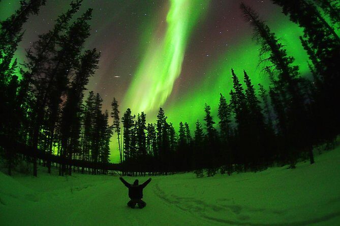 Active Winter Adventure in Yukon | 5 days - Whitehorse city history tour: paddlewheeler vibes and log “skyscraper” energy