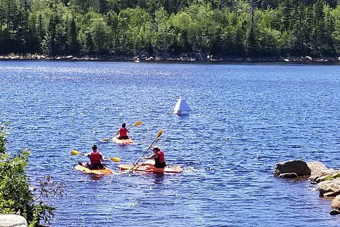 Adult Single Kayak Rental - Key takeaways before you paddle