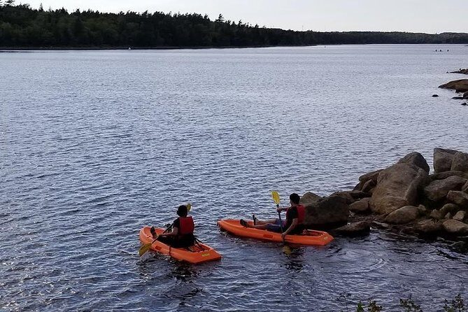 Adult Single Kayak Rental - What you actually get: kayak, paddle, PFD