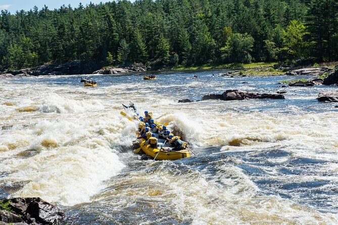 Adventure Rafting on the Ottawa River - Key Highlights at a Glance