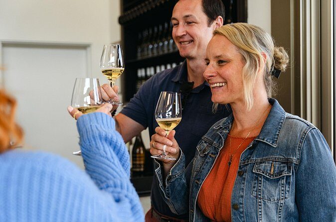 Afternoon Escape Wine Tour - Guides, group energy, and the VIP feeling
