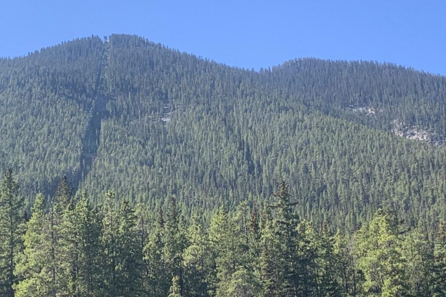 Airport Shuttle: Banff <---> Calgary - Photo Stops and Local Tips Without Forcing a Script