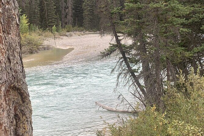 Airport Shuttle: Lake Louise <---> Calgary - The Ride Itself: Comfort, Private Space, and Weather Reality