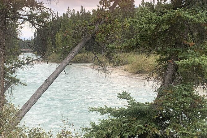 Airport Shuttle: Lake Louise <---> Calgary - Return to Calgary Airport: Built for the Checkout Rush