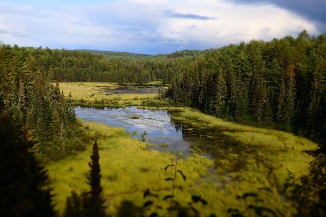 Algonquin Group Camping Adventure (3 Day) - From Toronto to Algonquin: the stress-free ride you’re paying for