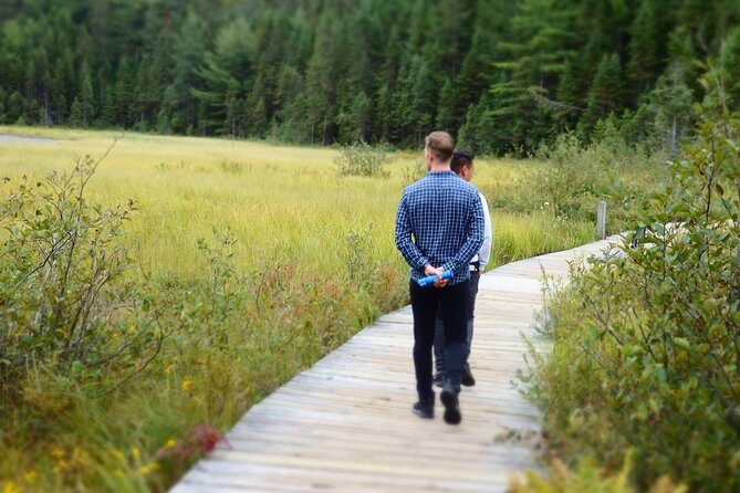 Algonquin Group Camping Adventure (3 Day) - Stargazing and safety: the “handled by a guide” feeling