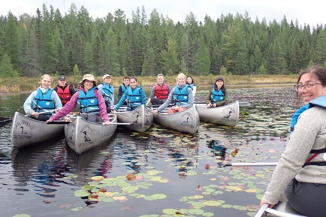 Algonquin Group Camping Adventure (3 Day) - Basecamp setup: tents, shared sleeping arrangements, and wildlife safety