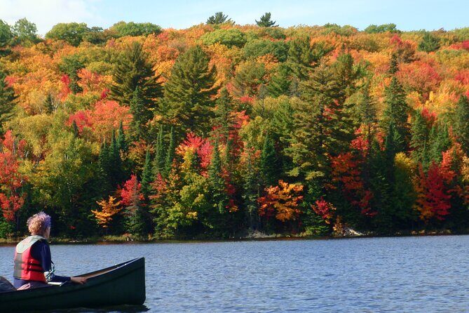 Algonquin Park 3-Day Deluxe Camping & Canoeing Adventure - Key highlights at a glance
