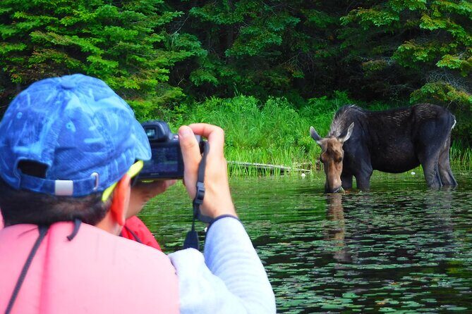 Algonquin Park 3-Day Deluxe Camping & Canoeing Adventure - Sleeping in the woods: comfort basics you’ll want to prepare for