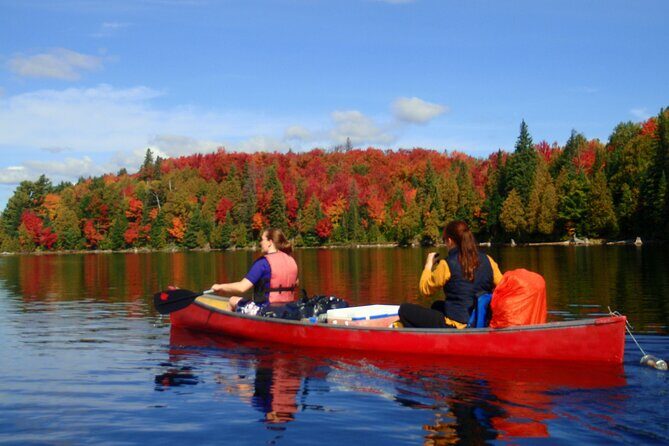 Algonquin Park 4-Day Deluxe Camping & Canoeing Adventure - Key Highlights You’ll Care About