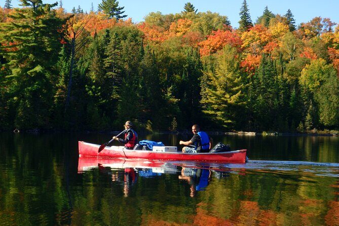 Algonquin Park 4-Day Deluxe Camping & Canoeing Adventure - Price and What You’re Actually Paying For