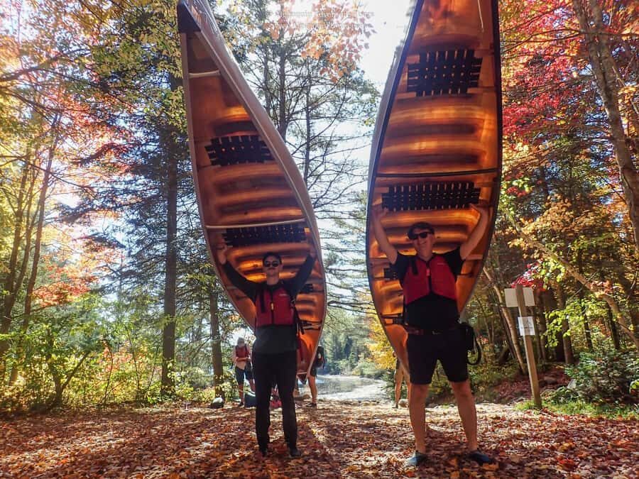 Algonquin Park: Canoe Camping Safari - Key things I’d bet on before you book