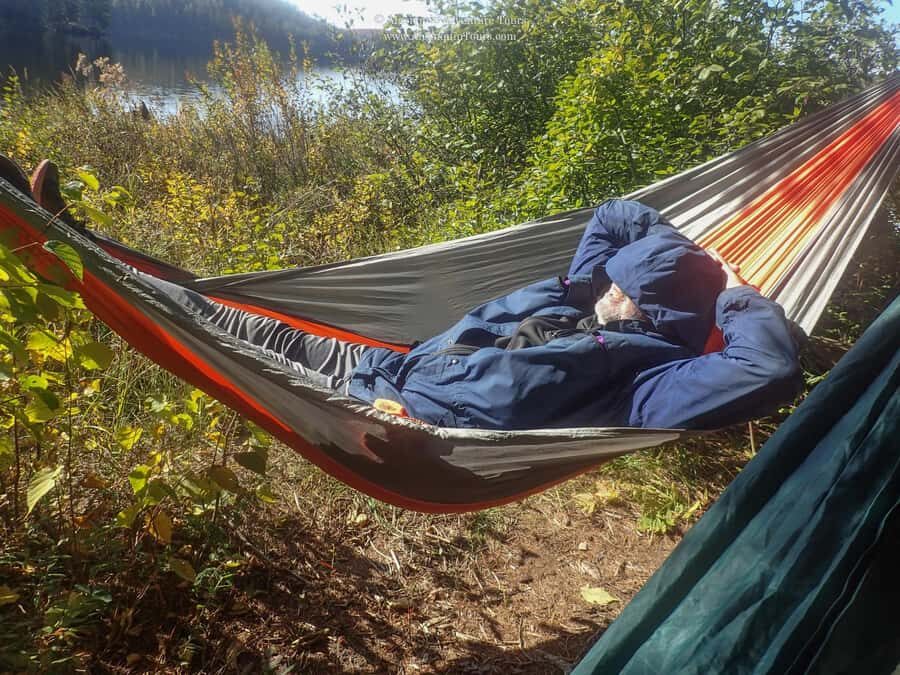 Algonquin Park: Canoe Camping Safari - Moose odds: how the trip aims for photos, not just sightings