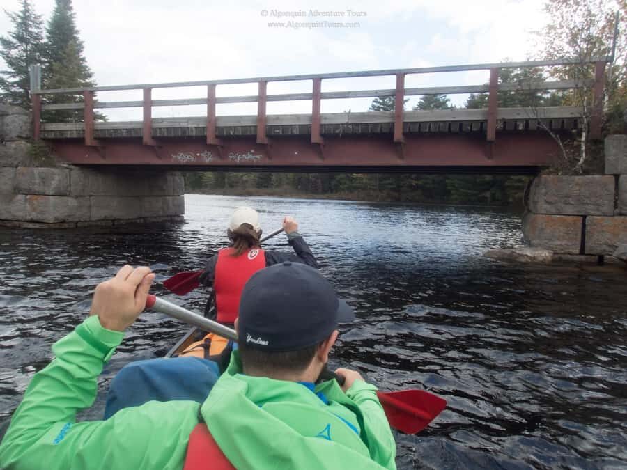 Algonquin Park: Canoe Camping Safari - Your guide makes the day: Jess, Gill, and Guil examples