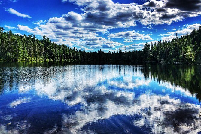 Algonquin Provincial Park Day Tour from Toronto - Day-tripping past Toronto: A/C comfort and park fees taken care of