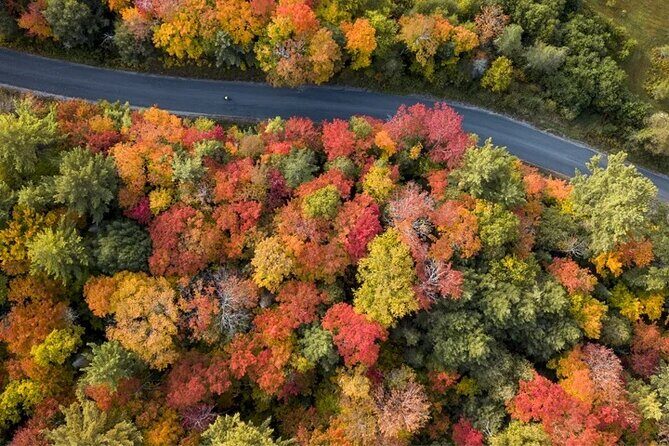 Algonquin Shuttle from Toronto - Key highlights to know before you go