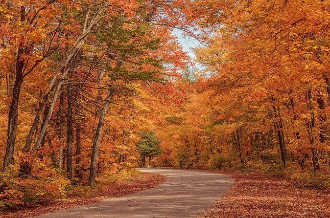 Algonquin Shuttle from Toronto - The ride breaks you’ll actually care about: washrooms and snacks