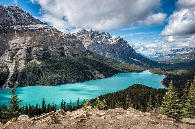 Along Icefields Parkway: Peyto Lake, Bow Lake & Columbia Icefield - Price and value: what you’re paying for at $125.47 per person