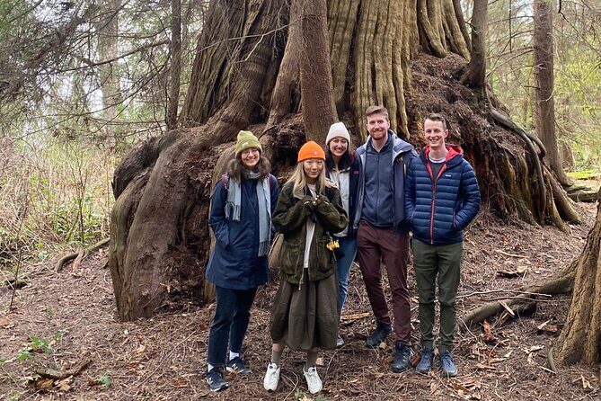 Ancient Trees of Vancouver Walking Tour - Stanley Park’s Old-Growth in One Walk