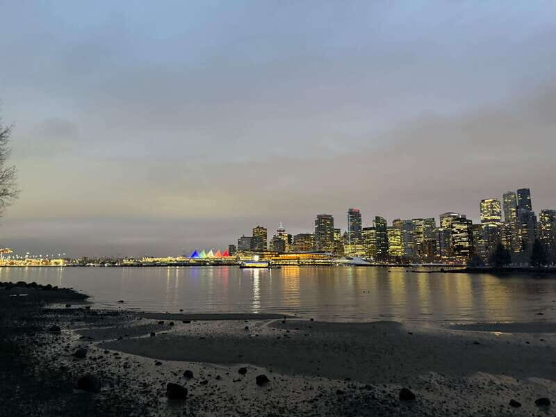 Aquarium & StanleyPark+20 Gem Spots+City/Vip Car+Small Group - Lions Gate Bridge Views: Why Prospect Point Is the Main Event