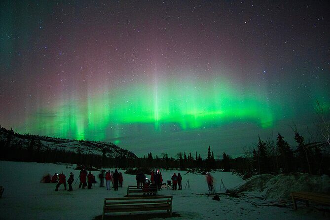 Arctic Day: Aurora Viewing Tour | late night - Comfort vs Reality: The Tour’s Weather Rules and the No-Aurora Risk