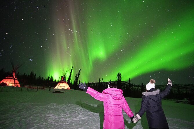 Arctic Day: Aurora Viewing Tour | late night - Price and Value: Is $125.39 Fair for 4.5 Hours?