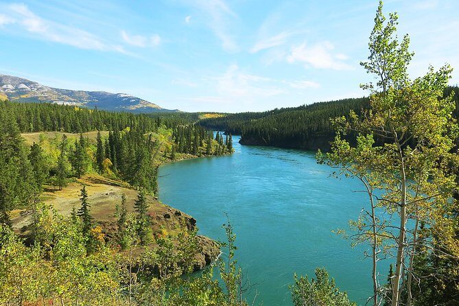 Arctic Day: Hiking Tour | half day - What’s Included: Snacks, Water, and the Right Kind of Prep