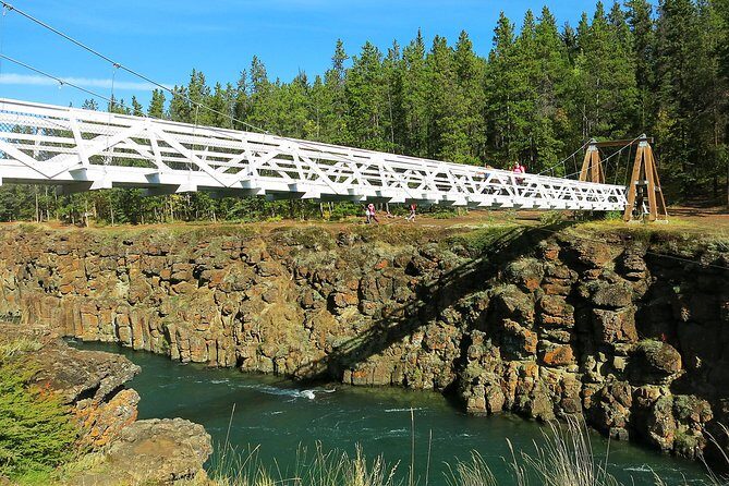 Arctic Day: Hiking Tour | half day - Meeting Point at the Sternwheeler: Easy Start, Fewer Headaches