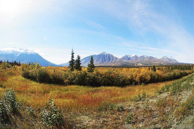 Arctic Day: Kluane National Park Tour | full day - Price and Value from Whitehorse (and when it’s worth it)